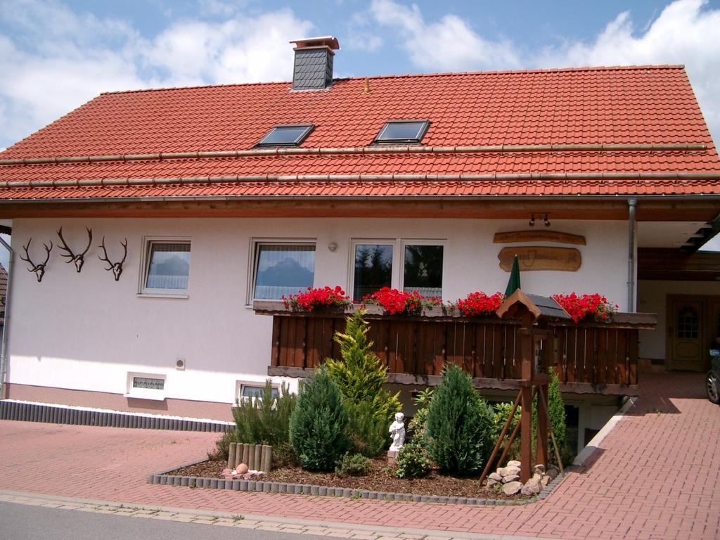 Апартаменти Haus Jasmin Санкт-Андреасберг Екстер'єр фото