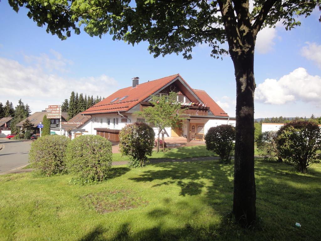 Апартаменти Haus Jasmin Санкт-Андреасберг Екстер'єр фото